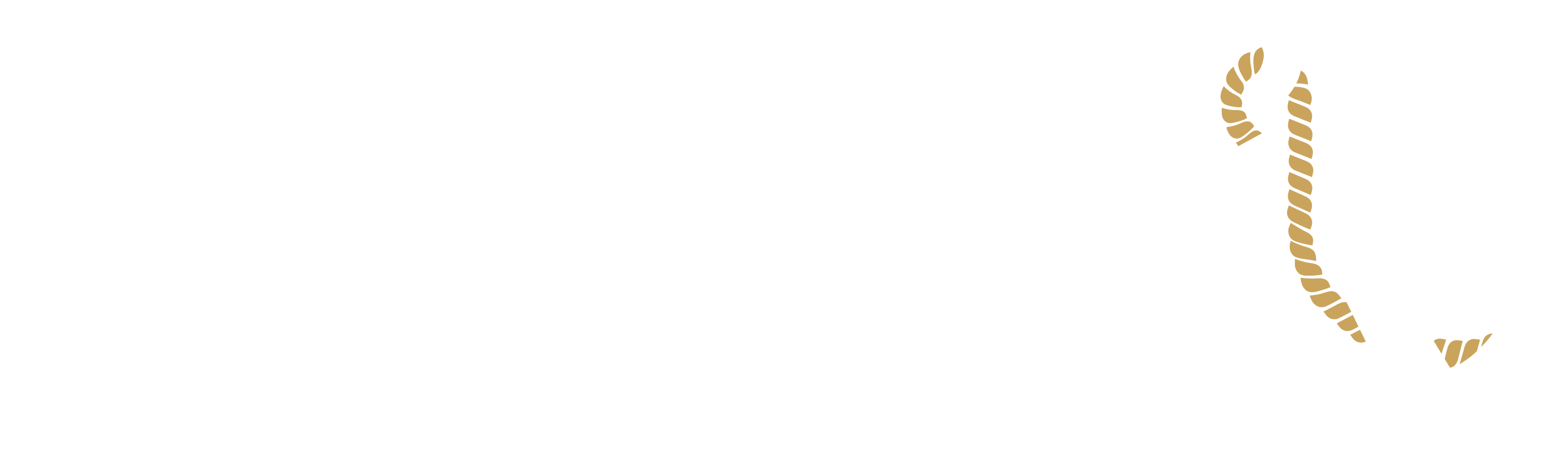 Footer Logo for Naval Academy Primary & Secondary School